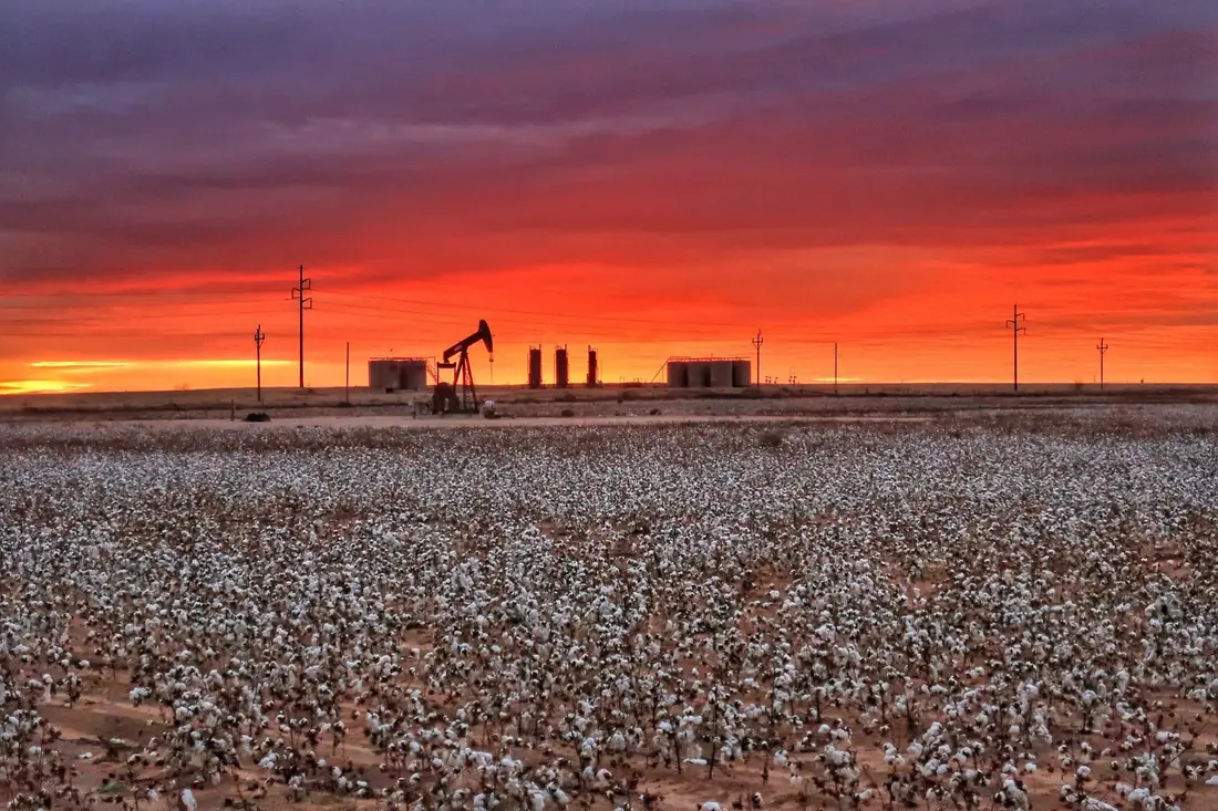 Pumpjack and tank battery over a cotton field at sunset, West Texas